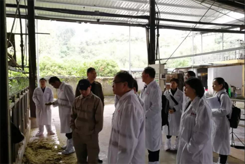 首页|bifa必发集团中国区官网